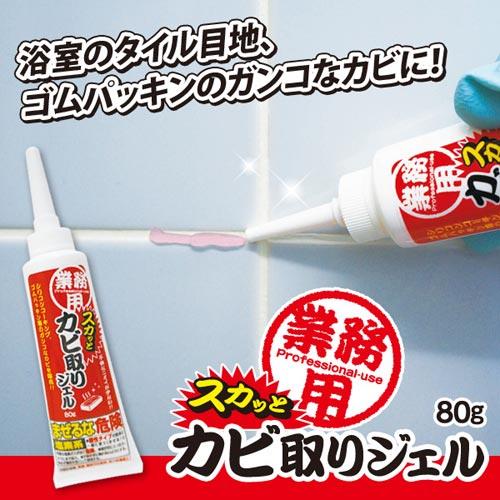 Aimedia 艾美迪雅 專業除霉啫喱 【平行進口】80g