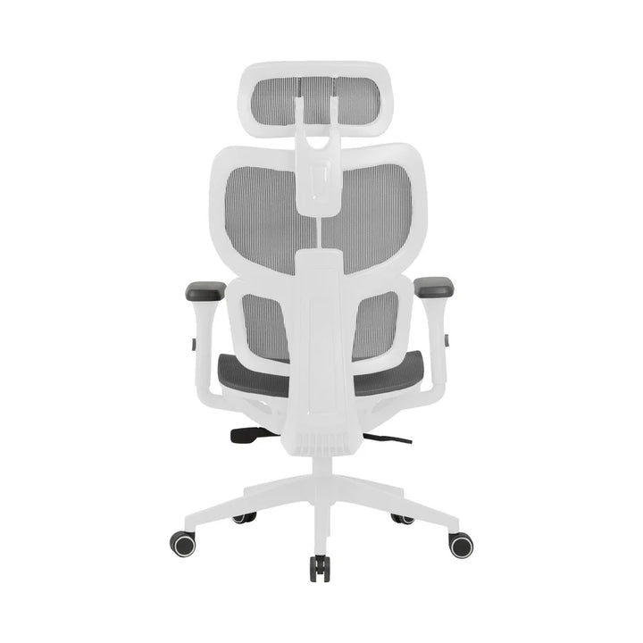 Zenox 人體工學 - 侍河辦公電腦椅 (網布/灰白色)【香港行貨】