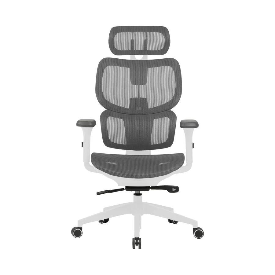 Zenox 人體工學 - 侍河辦公電腦椅 (網布/灰白色)【香港行貨】